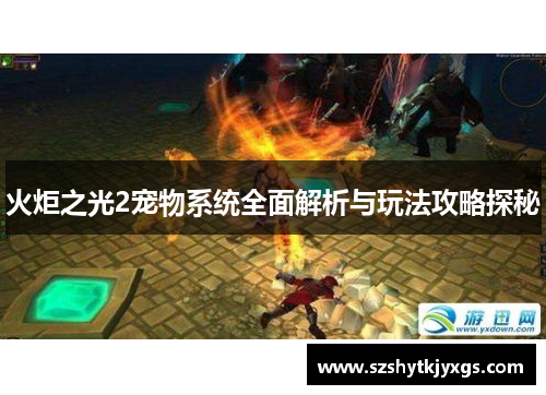 火炬之光2宠物系统全面解析与玩法攻略探秘